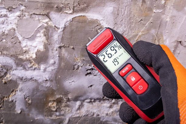 Best Mold Remediation for Specific Building Types in Holbrook, AZ
